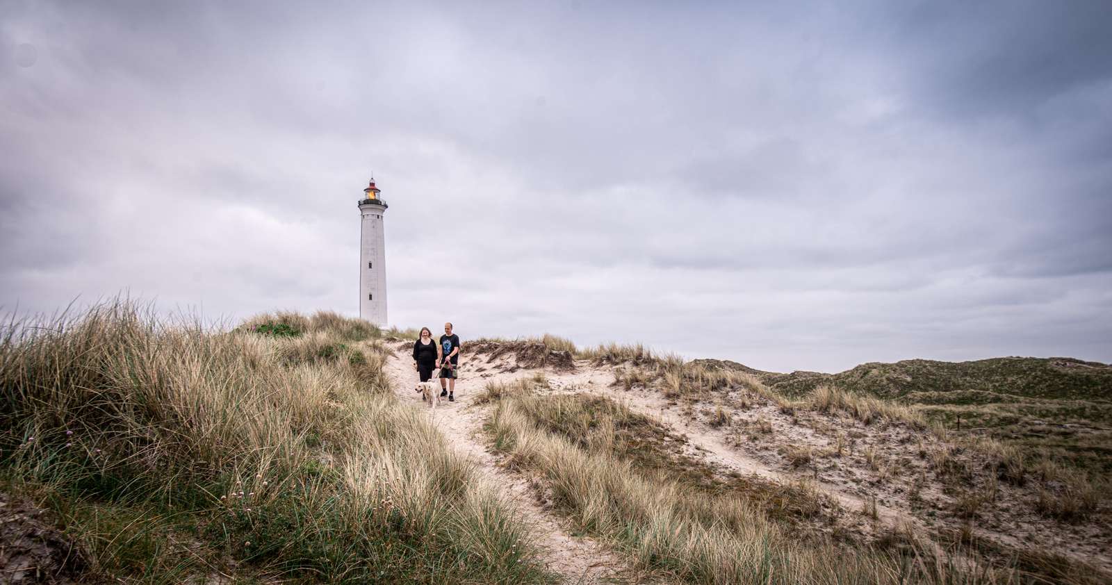 Lyngvigfyr ©Ringkøbingskjernmuseum