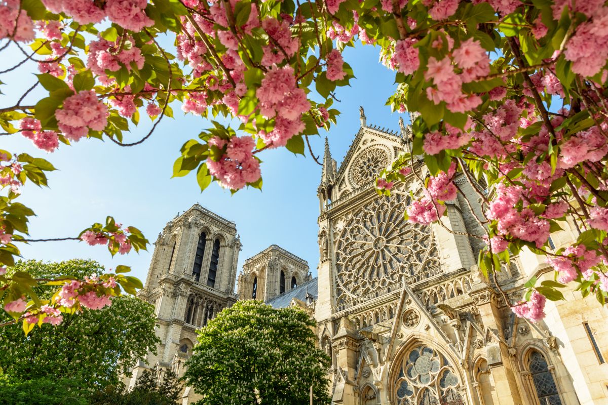 The best time to visit
