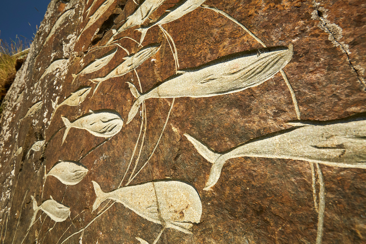 Det bedste tidspunkt at besøge